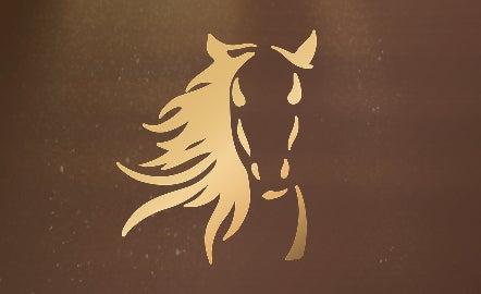 Lunar New Year Gifts